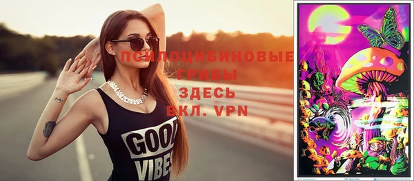 дживик Алексеевка