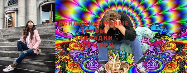 СК Алексин