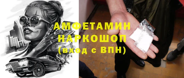 СК Алексин
